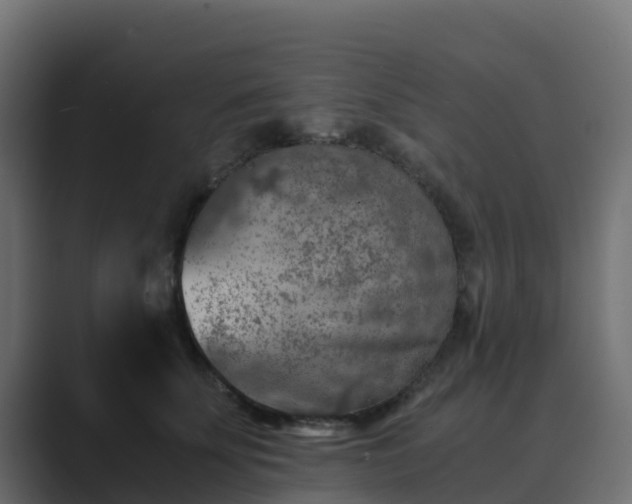 X0000089710707200706281512