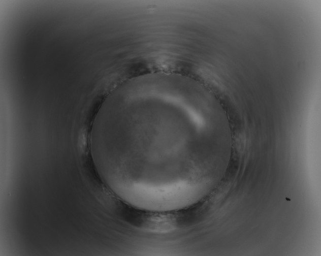 X0000089710709200706281512