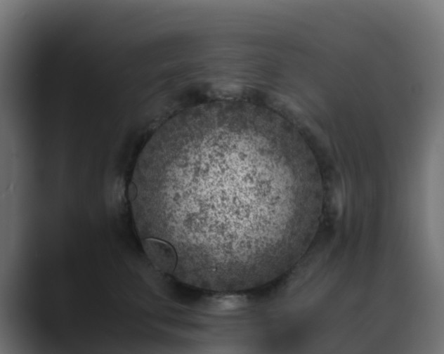 X0000089710711200706281512