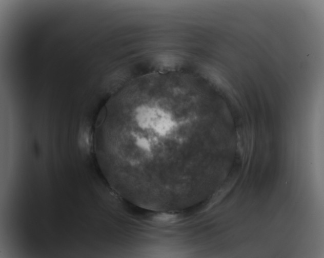 X0000089710718200706281512