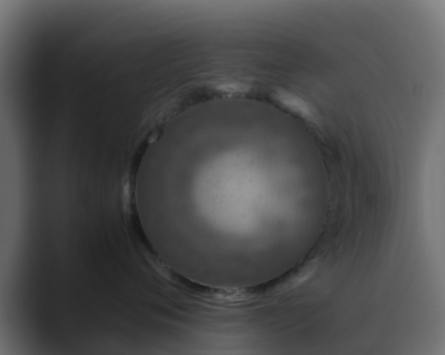 X0000089710720200706281512