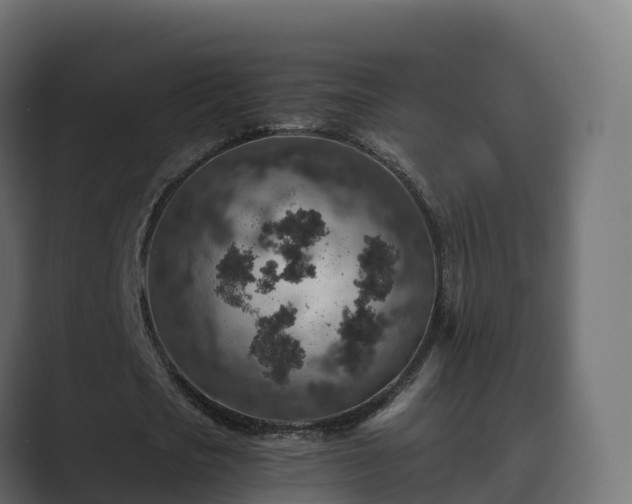 X0000089710721200706281512