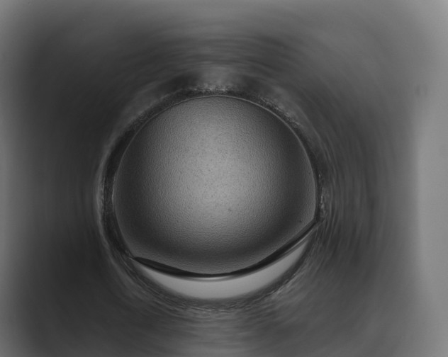 X0000089710722200706281512