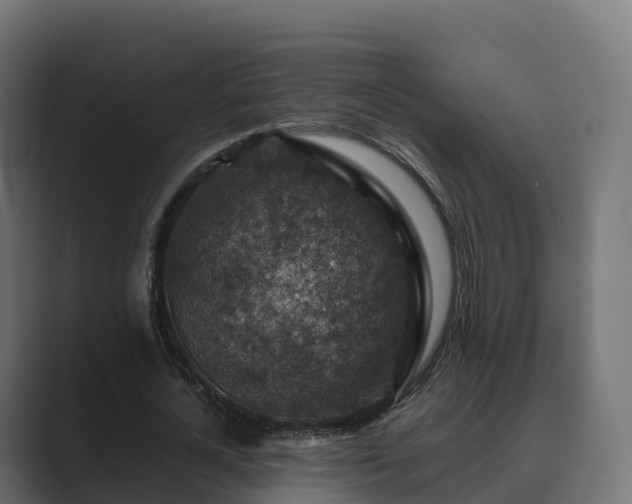 X0000089710724200706281512