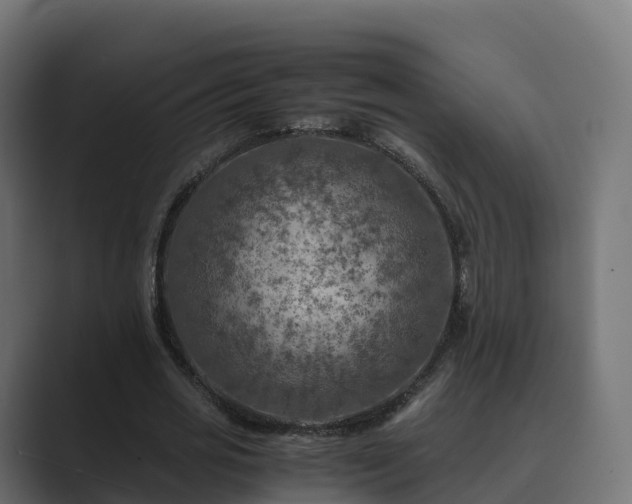 X0000089710725200706281512