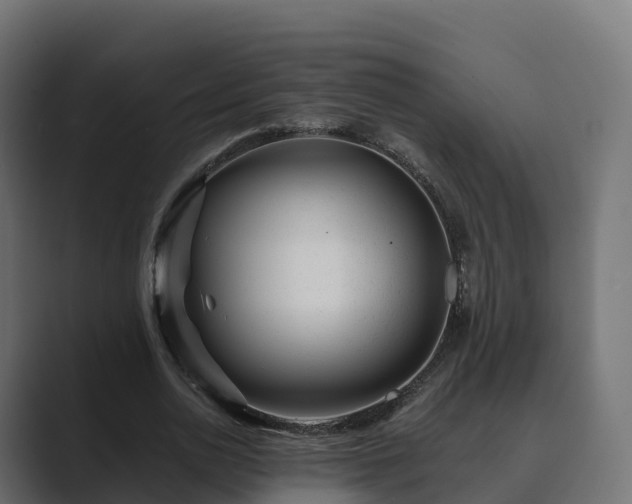 X0000089710726200706281512