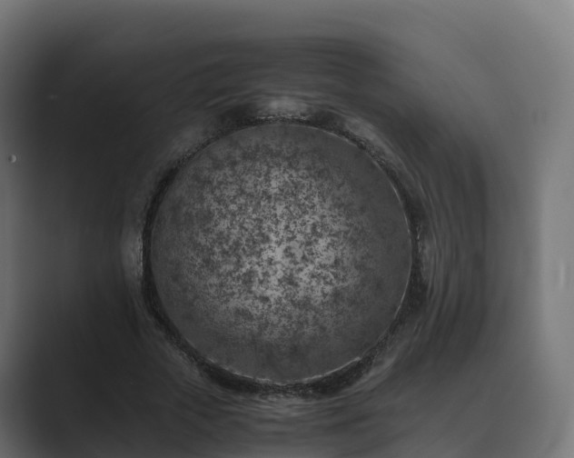 X0000089710729200706281512