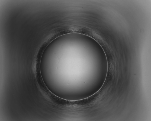 X0000089710730200706281512