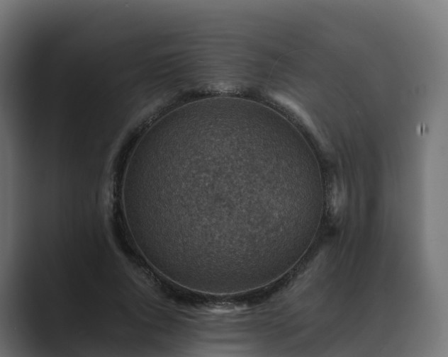 X0000089710736200706281512