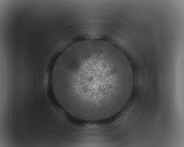 X0000089710742200706281512