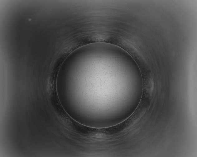 X0000089710743200706281512