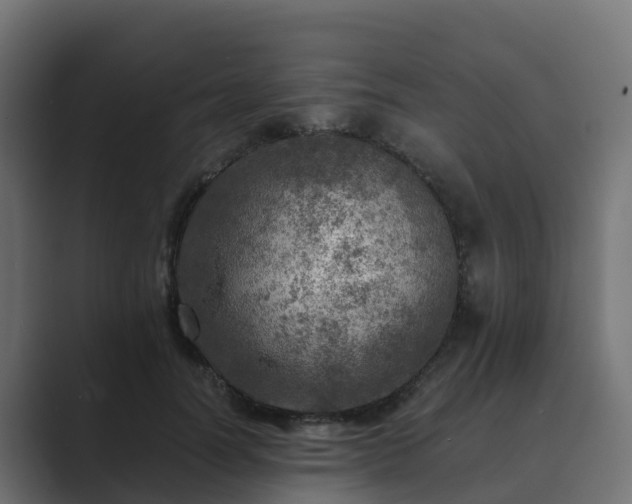 X0000089710746200706281512