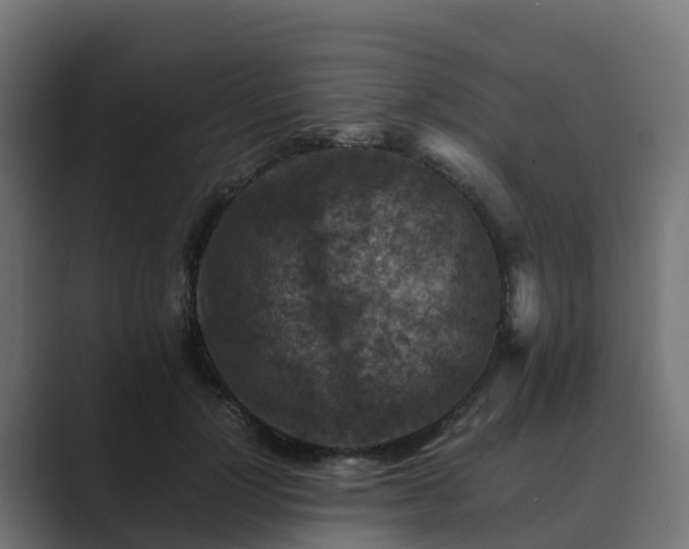 X0000089710748200706281512