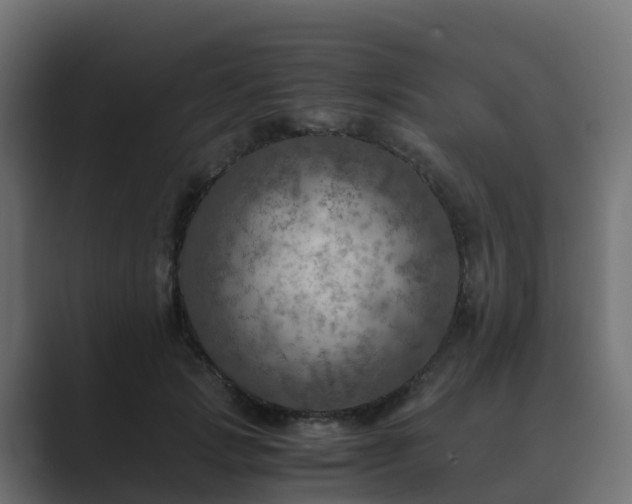 X0000089710749200706281512