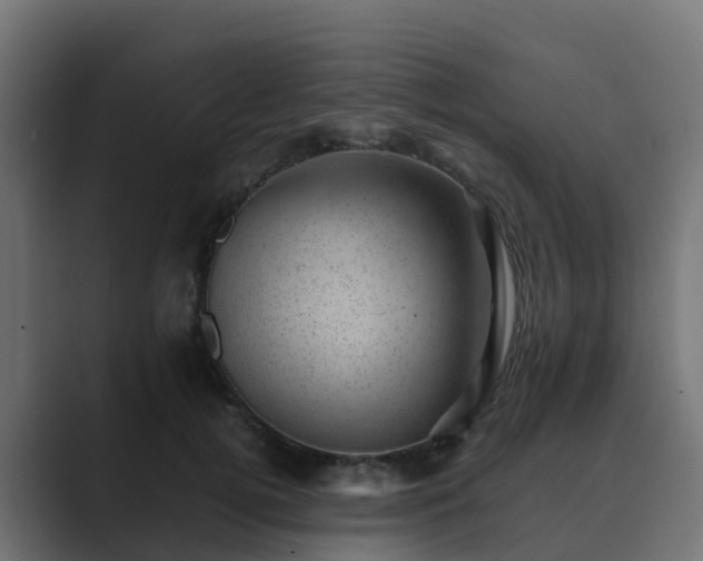 X0000089710752200706281512