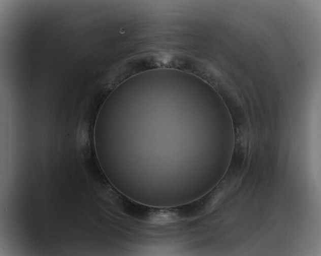 X0000089710754200706281512