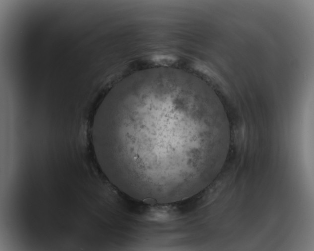 X0000089710757200706281512