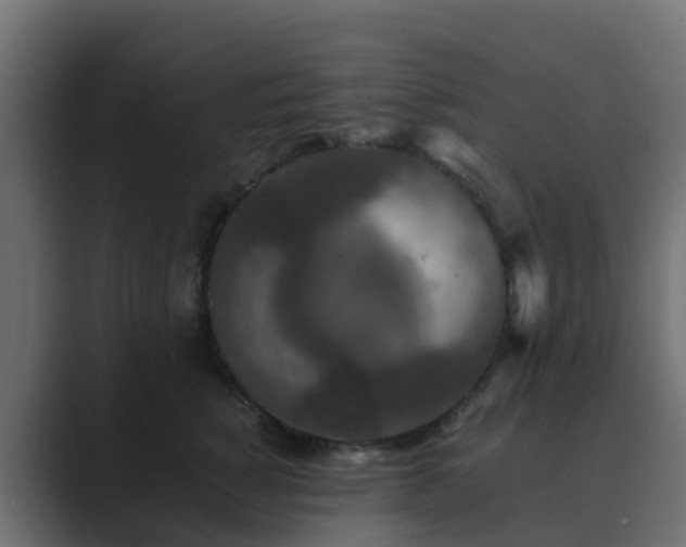 X0000089710760200706281512