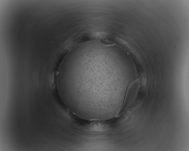 X0000089710764200706281512