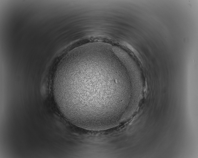 X0000089710775200706281512