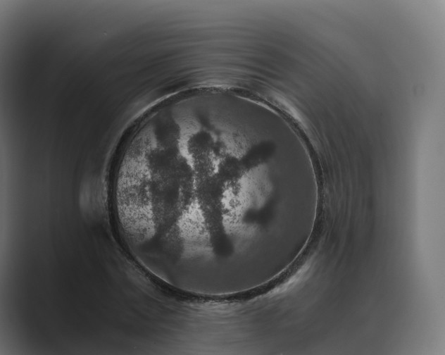 X0000089710779200706281512