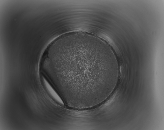 X0000089710780200706281511