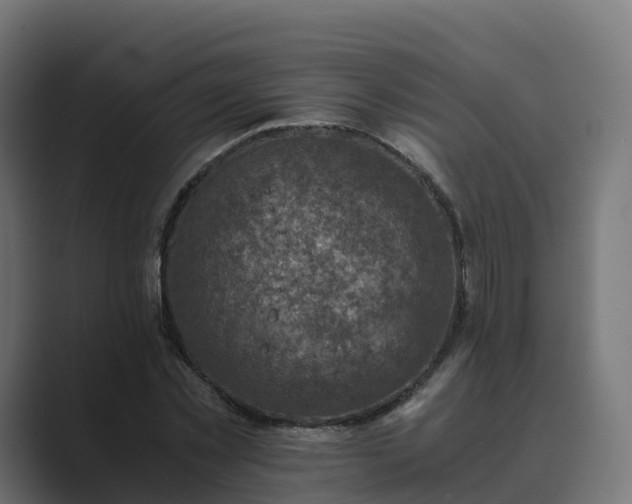 X0000089710781200706281511