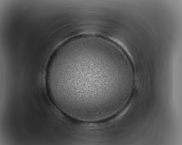 X0000089710783200706281511