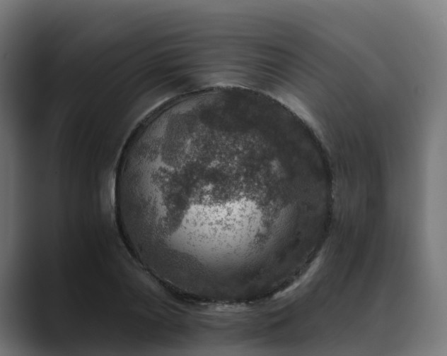 X0000089710790200706281511