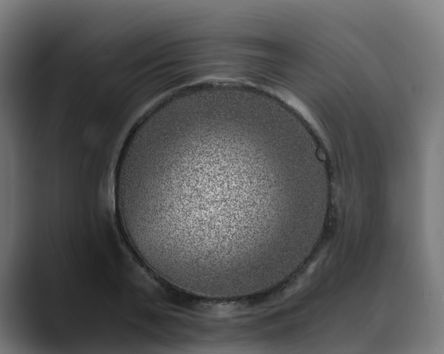 X0000089710791200706281511