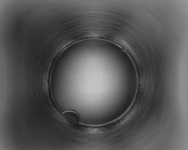 X0000089710794200706281511