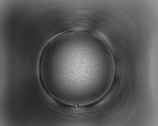 X0000089710795200706281511