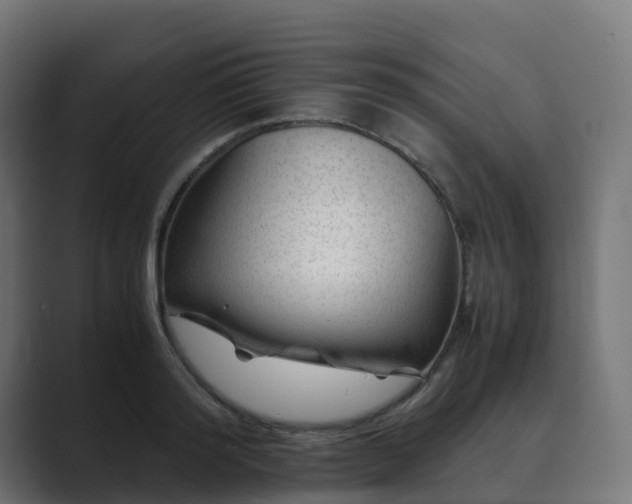 X0000089710796200706281511