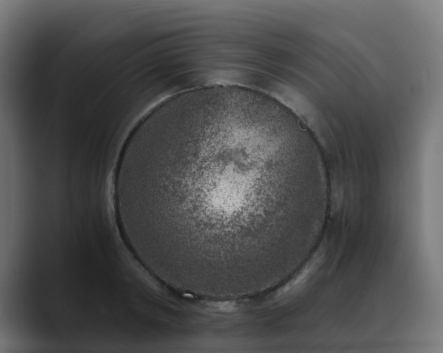 X0000089710798200706281511