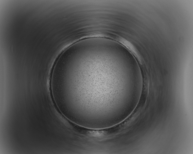 X0000089710805200706281511