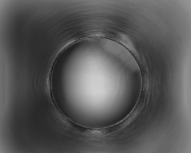 X0000089710806200706281511