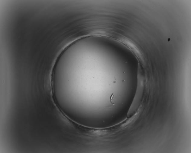 X0000089710808200706281511