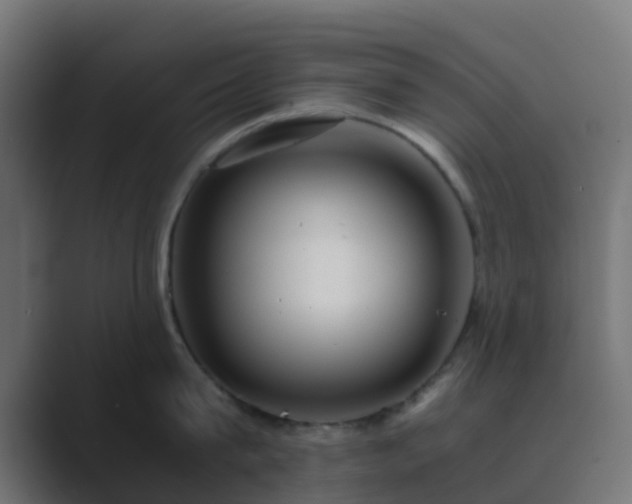 X0000089710815200706281511