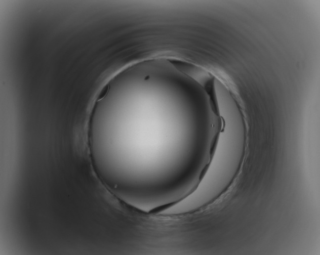 X0000089710816200706281511