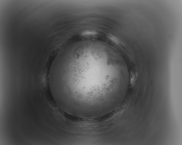 X0000089710819200706281511