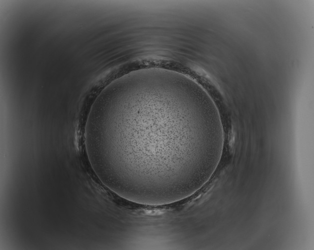 X0000089710822200706281511