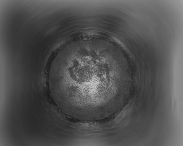 X0000089710823200706281511