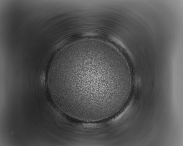 X0000089710825200706281511