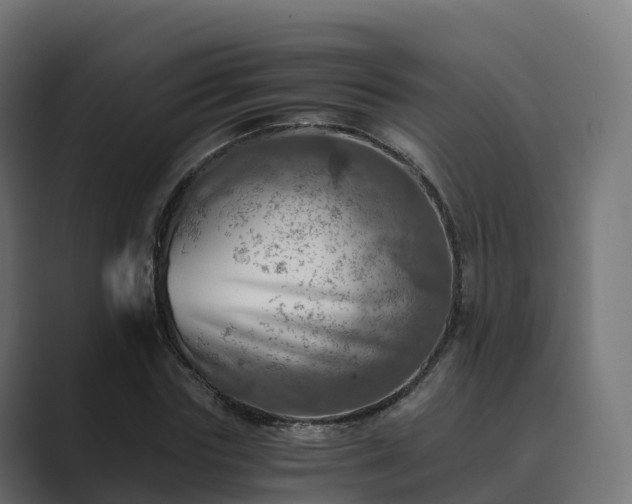 X0000089710827200706281511