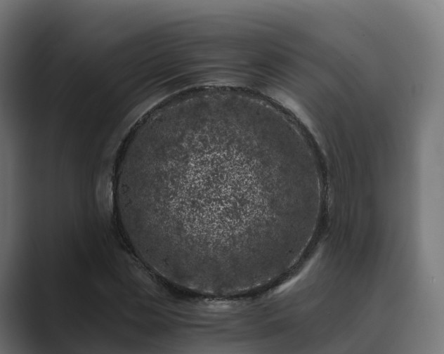 X0000089710829200706281511