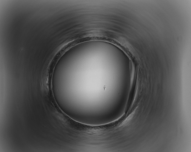 X0000089710830200706281511