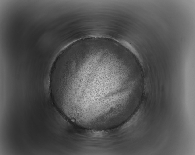 X0000089710831200706281511