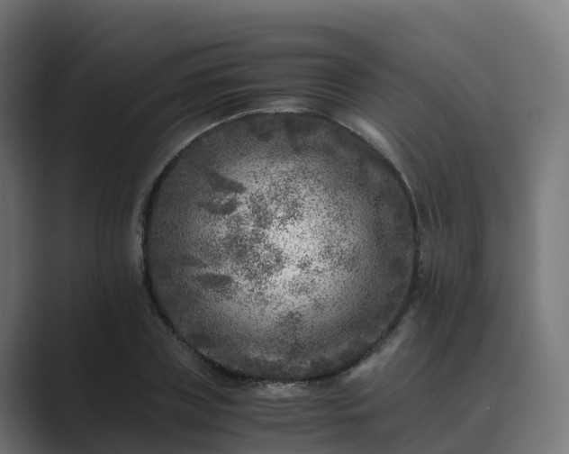 X0000089710835200706281511