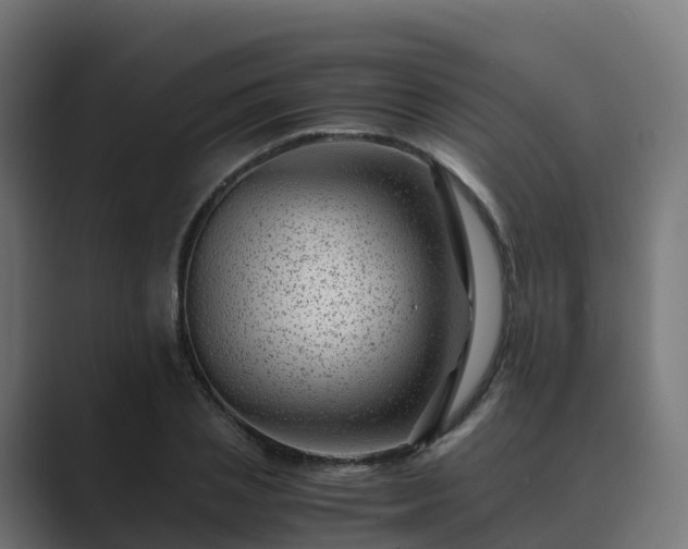 X0000089710837200706281511