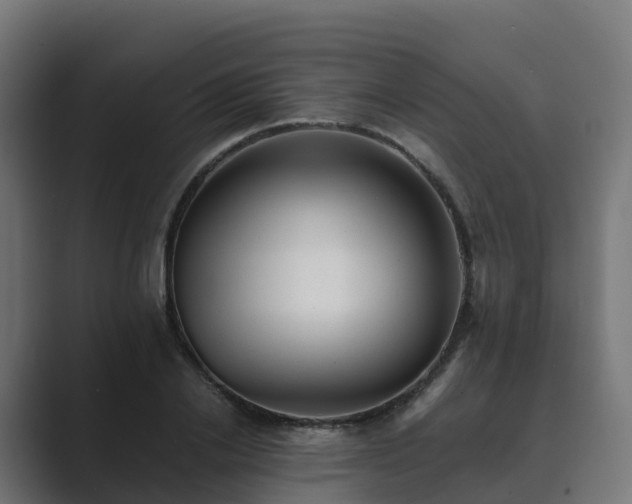 X0000089710838200706281511